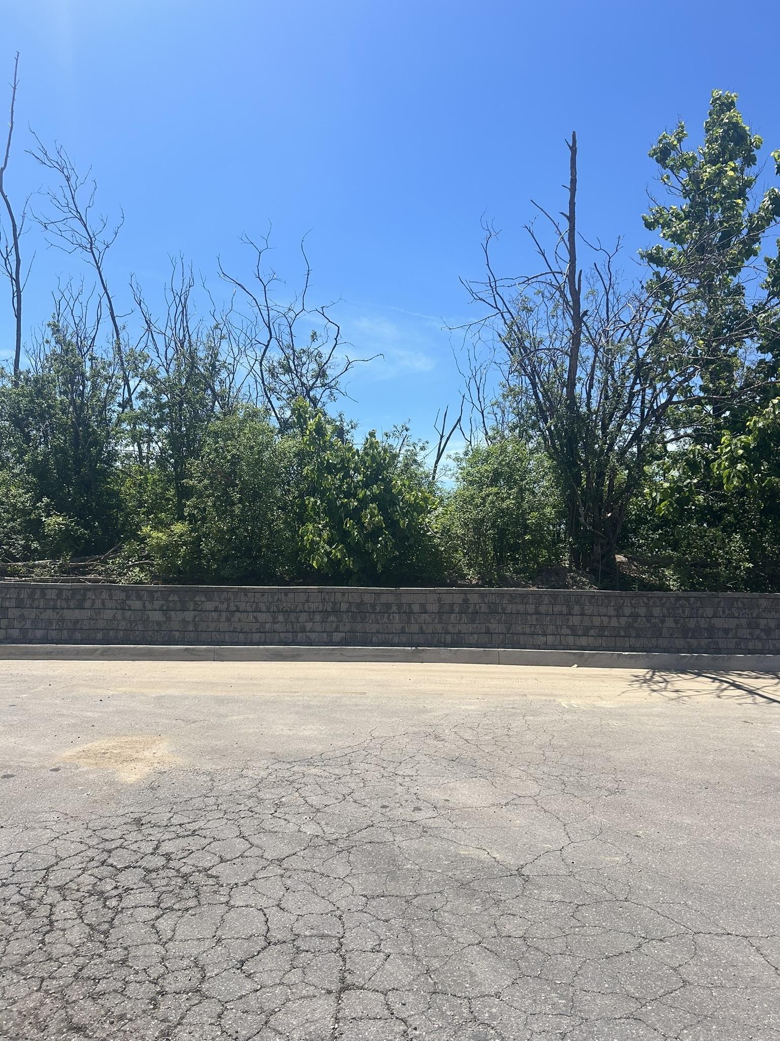 Finished wall
